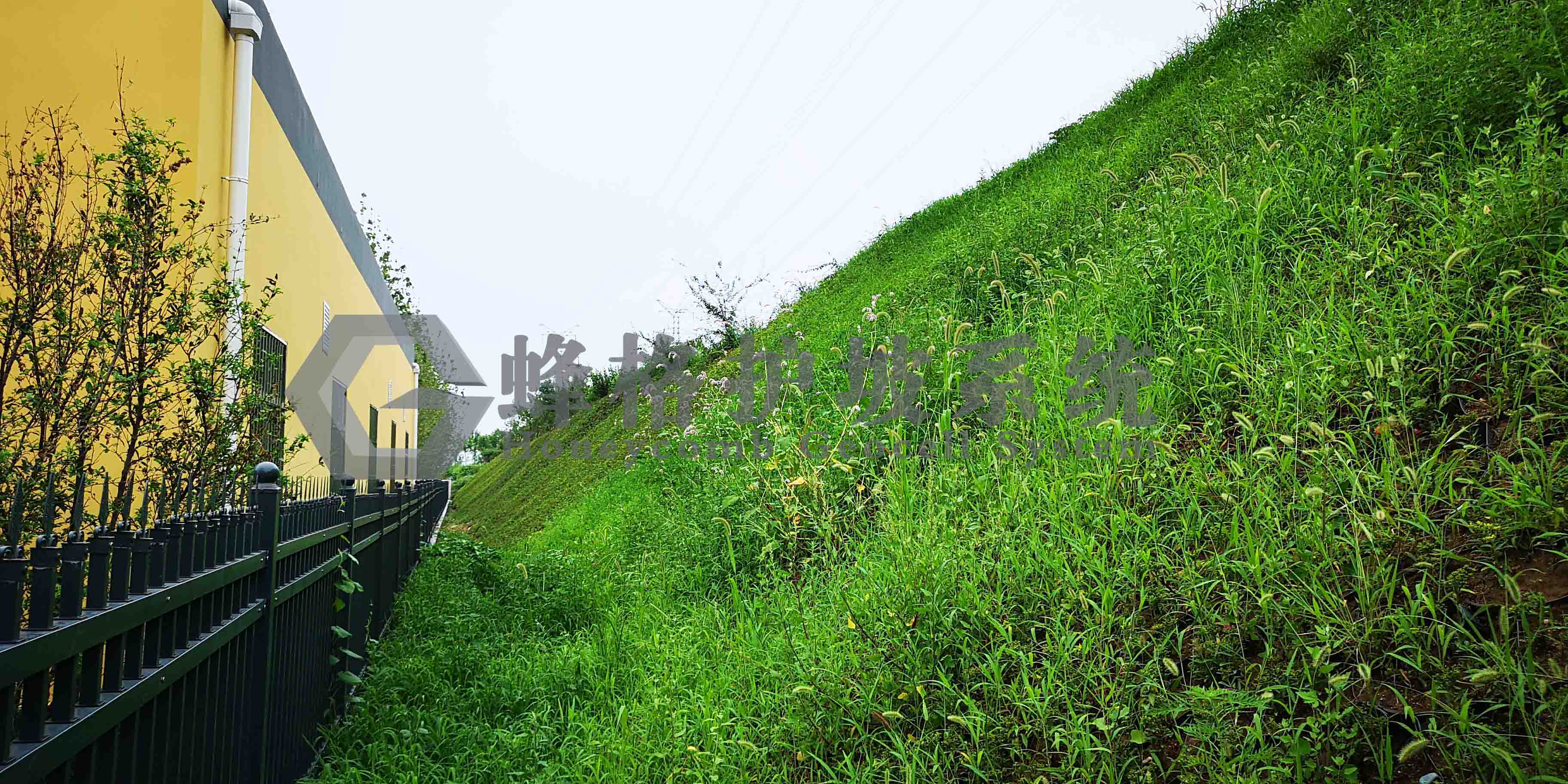 应用蜂格护坡系统治理,呈现出无工程痕迹的绿色景观